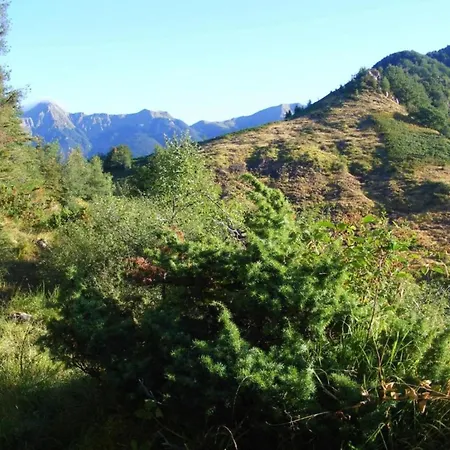 In With Garden Monte Santa Maria Tiberina