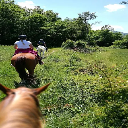 In With Garden 度假居 Monte Santa Maria Tiberina