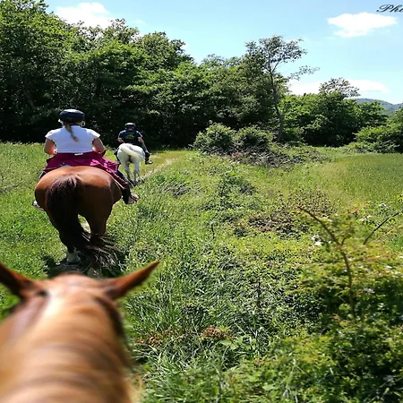 In With Garden Prázdninový dům